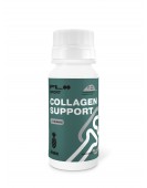 Collagen Support Ananas, 60 ml