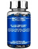 Ornithine, 100 капс  Scitec Nutrition