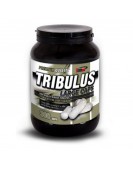 Tribulus Large Caps, Трибулус 100 капс. Vision Nutrition