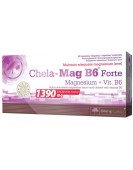 Chela-Mag B6 forte 60 caps, Хела-Магний Olimp
