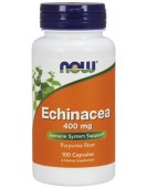 Echinacea 400 mg Now foods Эхинацея корень  400 мг, 100 капс. NOW